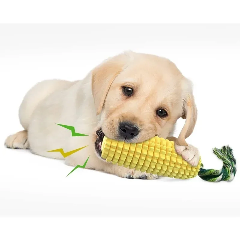 새 상품! 강하게 씹는 강아지들을 위한 튼튼하고 오래  - Corn Dog Stick 리뷰 및 가격
